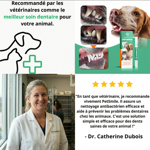 PetSmile™ | Dites adieu à la plaque dentaire et à la mauvaise haleine!