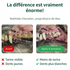 PetSmile™ | Dites adieu à la plaque dentaire et à la mauvaise haleine!