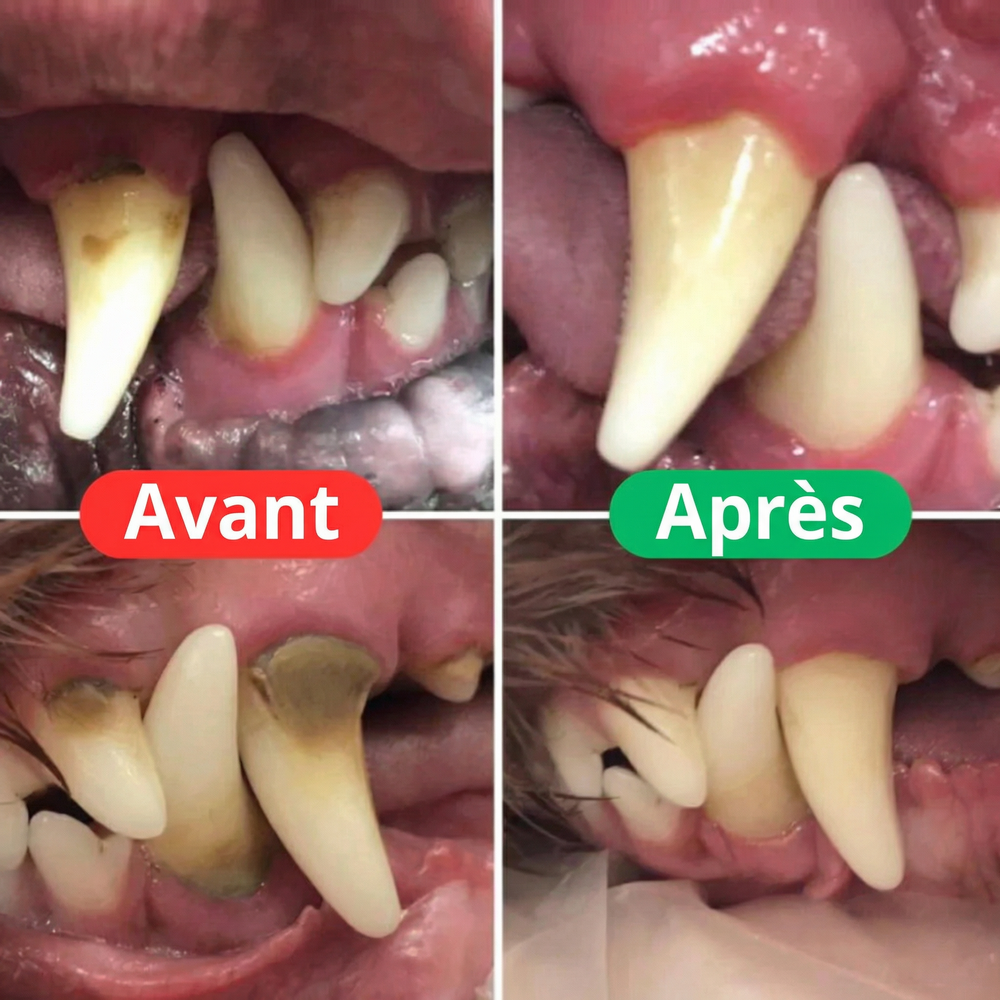 PetSmile™ | Dites adieu à la plaque dentaire et à la mauvaise haleine!