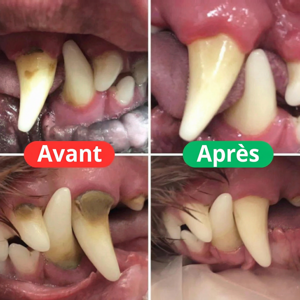 PetSmile™ | Dites adieu à la plaque dentaire et à la mauvaise haleine!